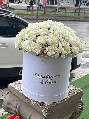 Kutuda yapay Beyaz Gl